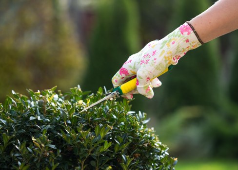 Secure Tree Surgeons Kentishtown payment area with trusted online checkout