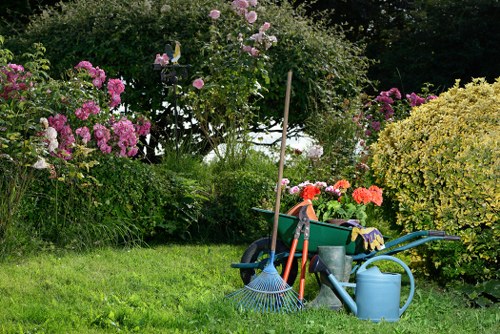 Stump grinding equipment clearing a tree stump in a Kentishtown garden