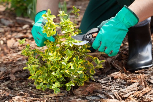 Annual review of modern slavery controls in tree surgery operations