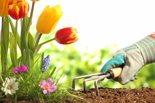 Professional arborist pruning branches for tree health