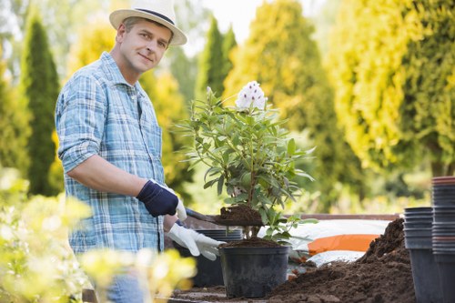 Healthy landscaped garden maintained by tree surgeons in Kentishtown