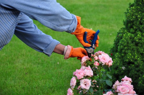 Legal terms and conditions for UK tree surgery services